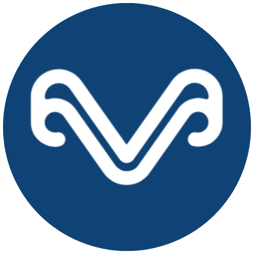 Logo sajta ViziDevelopment